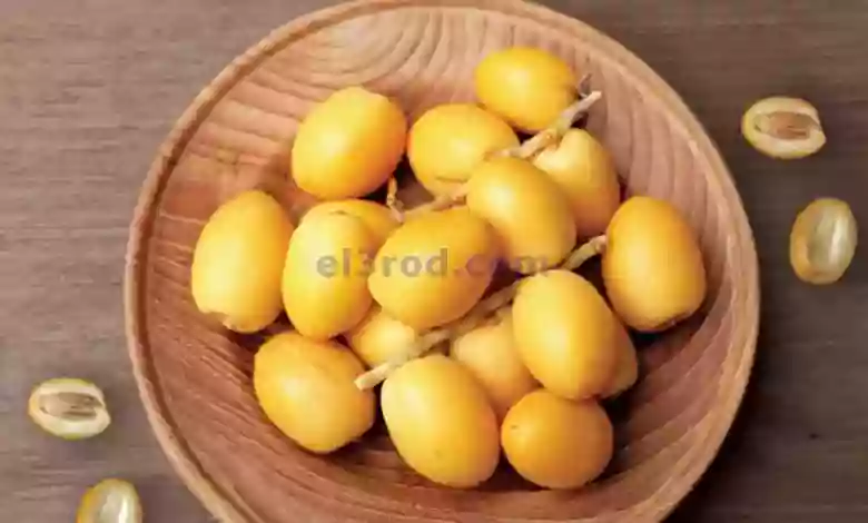 el3rod.com00001-1419