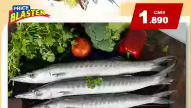 el3rod.com00001-162