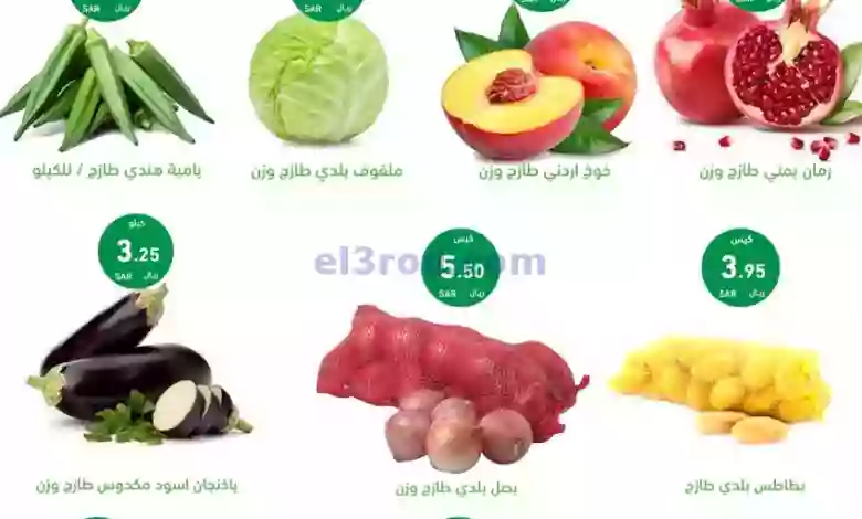 el3rod.com00001-20