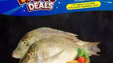 el3rod.com00001-253