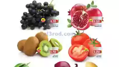el3rod.com00001-282