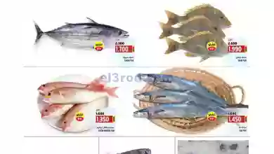 el3rod.com00001-283