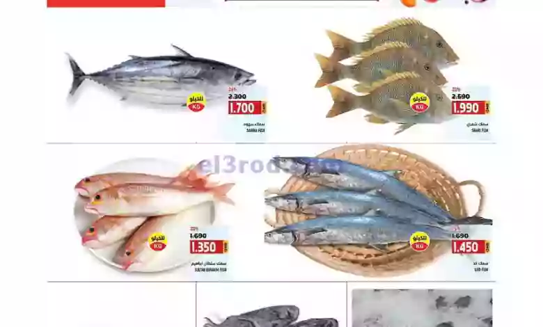 el3rod.com00001-283
