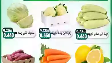el3rod.com00001-371