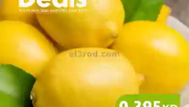 el3rod.com00001-373