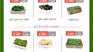 el3rod.com00001-386
