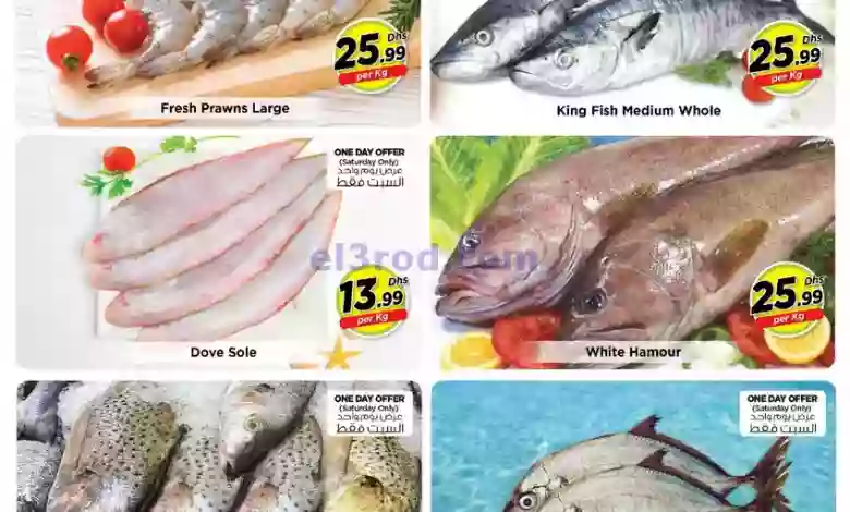 el3rod.com00001-406