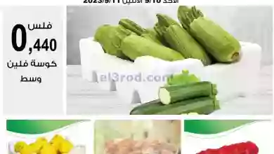 el3rod.com00001-411