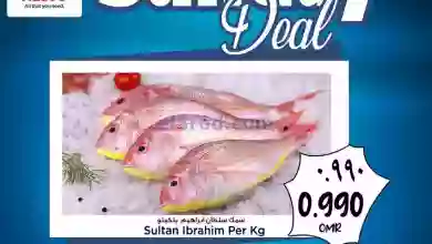 el3rod.com00001-455