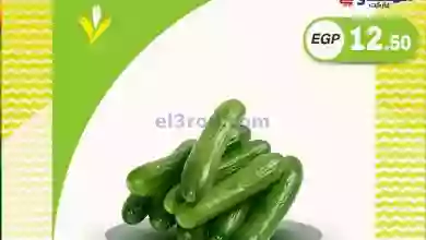 عروض المحلاوى هايبر ماركت مصر|حتى 16-9-2023|طازج el3rod.com00001-539