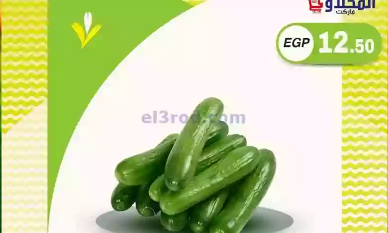 el3rod.com00001-539