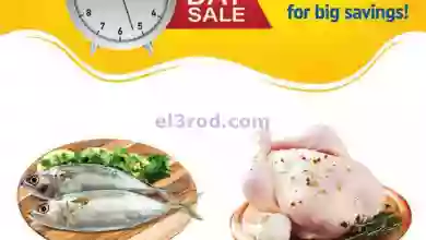 el3rod.com00001-590