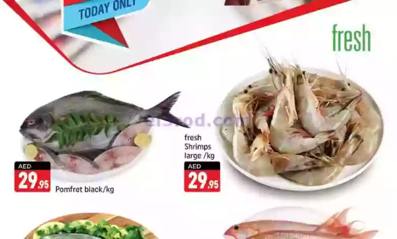عروض شكلان الامارات|13-9-2023|يوم رائع el3rod.com00001-646