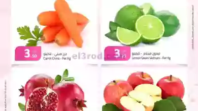 el3rod.com00001-672