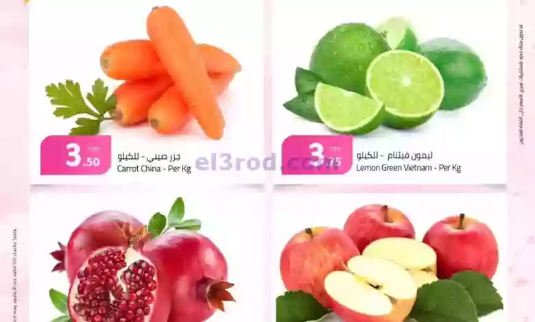 el3rod.com00001-672
