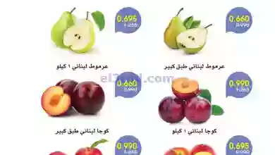el3rod.com00001-727