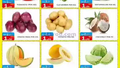 el3rod.com00001-754