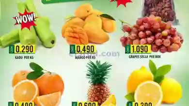 el3rod.com00001-80