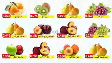 el3rod.com00001-851