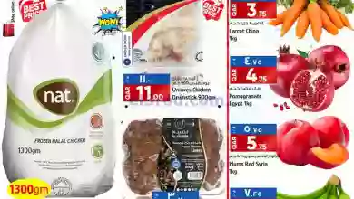 el3rod.com00001-875