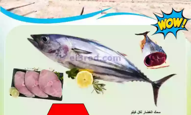 el3rod.com00001-98