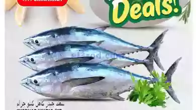 el3rod.com00002-717
