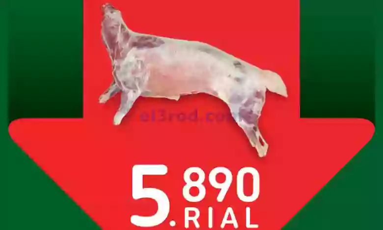 el3rod.com00003-1001
