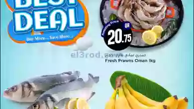 el3rod.com00003-261