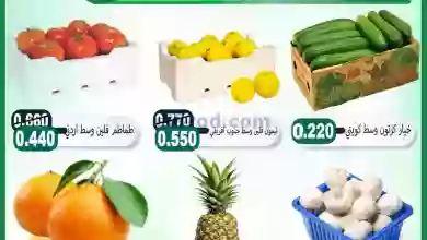 el3rod.com00003-45