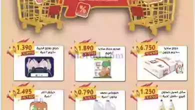 el3rod.com00003-801