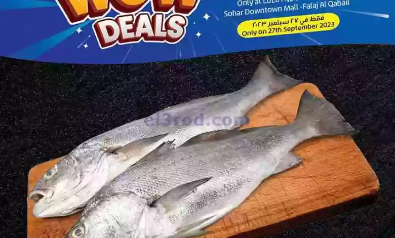 el3rod.com00005-746