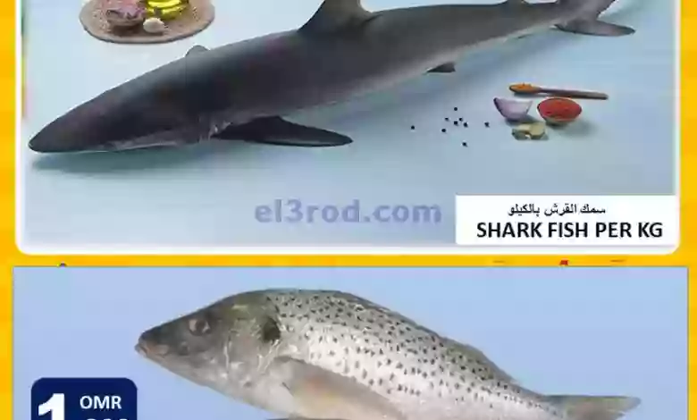 el3rod.com00011-261