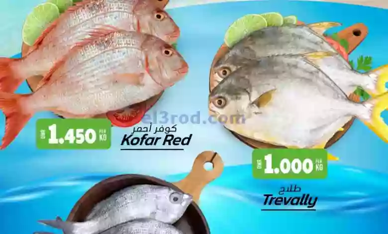 el3rod.com00001-1014