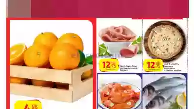 el3rod.com00001-1102