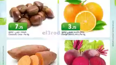 el3rod.com00001-1147