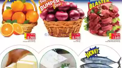 el3rod.com00001-1169