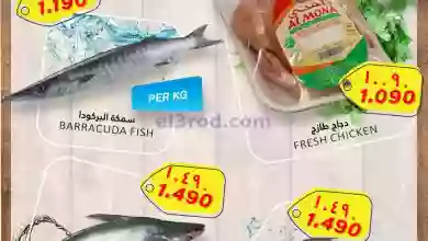 el3rod.com00001-1246