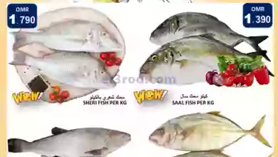 el3rod.com00001