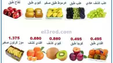 el3rod.com00001-1369