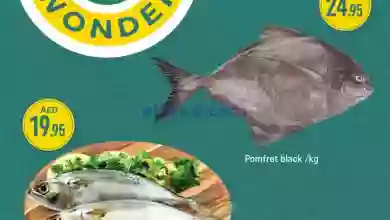 el3rod.com00001-14