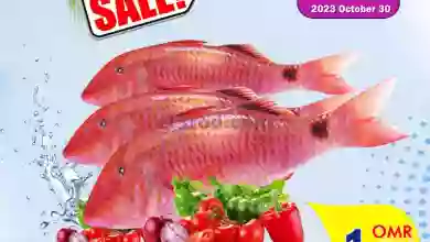 el3rod.com00001-1421