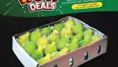 el3rod.com00001-1446
