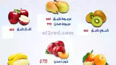 el3rod.com00001-1459