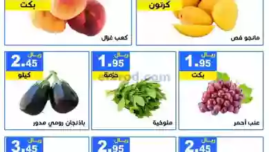 el3rod.com00001-252