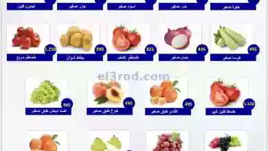 el3rod.com00001-26
