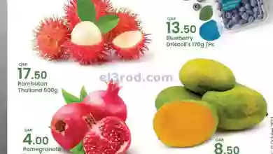 el3rod.com00001-263