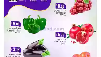 el3rod.com00001-266