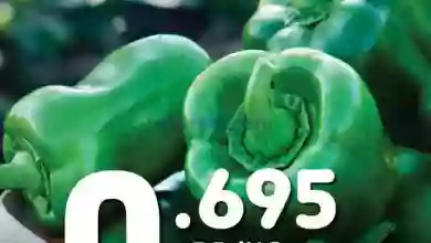 el3rod.com00001-269