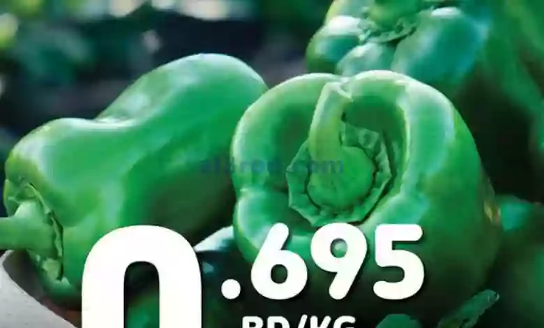 el3rod.com00001-269