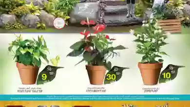 el3rod.com00001-292